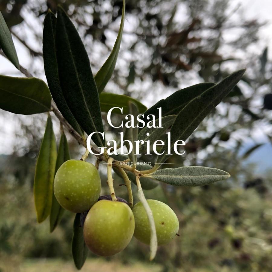 Casal Gabriele Villa Lettere Dış mekan fotoğraf